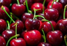 Comité de Cerezas de Frutas de Chile crea “Mesa Técnica” para potenciar calidad de la cereza nacional Comité de Cerezas de Frutas de Chile crea “Mesa Técnica” para potenciar calidad de la cereza nacional