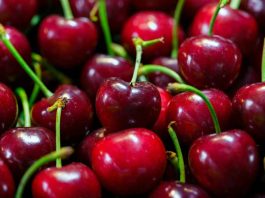 Comité de Cerezas de Frutas de Chile crea “Mesa Técnica” para potenciar calidad de la cereza nacional