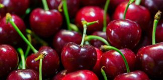 Comité de Cerezas de Frutas de Chile crea “Mesa Técnica” para potenciar calidad de la cereza nacional Comité de Cerezas de Frutas de Chile crea “Mesa Técnica” para potenciar calidad de la cereza nacional