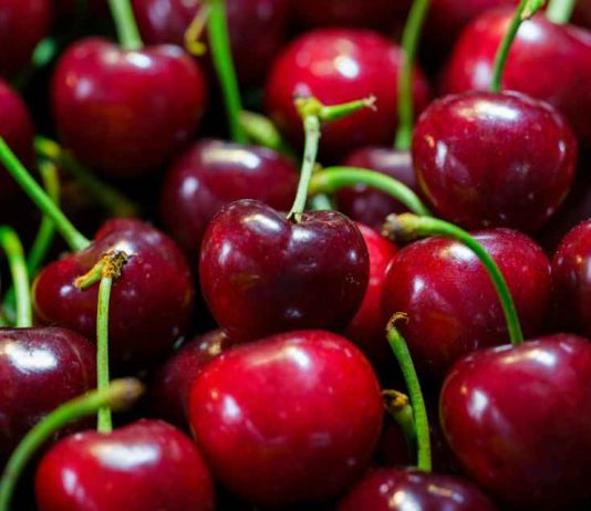 Comité de Cerezas de Frutas de Chile crea “Mesa Técnica” para potenciar calidad de la cereza nacional Comité de Cerezas de Frutas de Chile crea “Mesa Técnica” para potenciar calidad de la cereza nacional