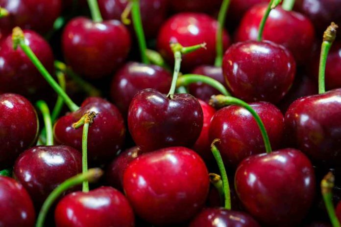 Comité de Cerezas de Frutas de Chile crea “Mesa Técnica” para potenciar calidad de la cereza nacional Comité de Cerezas de Frutas de Chile crea “Mesa Técnica” para potenciar calidad de la cereza nacional
