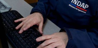 Compromiso con la probidad pública INDAP refuerza la visibilidad de su Canal Digital de Integridad