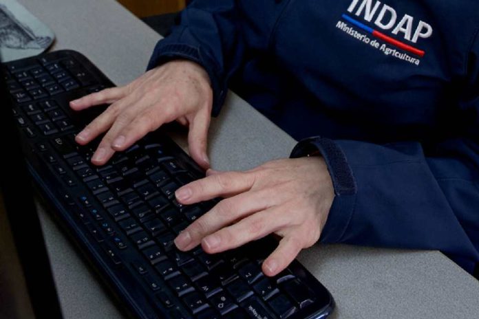 Compromiso con la probidad pública INDAP refuerza la visibilidad de su Canal Digital de Integridad Compromiso con la probidad pública INDAP refuerza la visibilidad de su Canal Digital de Integridad