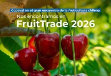 Copeval llega a Fruittrade 2026 con soluciones para los nuevos desafíos de la fruticultura