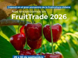 Copeval llega a Fruittrade 2026 con soluciones para los nuevos desafíos de la fruticultura