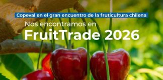 Copeval llega a Fruittrade 2026 con soluciones para los nuevos desafíos de la fruticultura Copeval llega a Fruittrade 2026 con soluciones para los nuevos desafíos de la fruticultura