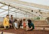 Costa Rica: un viaje al origen del chocolate, entre naturaleza y tradiciones ancestrales