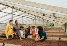 Costa Rica: un viaje al origen del chocolate, entre naturaleza y tradiciones ancestrales