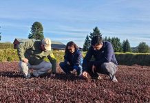 Cran Chile impulsa el crecimiento de sus proveedores potenciando la competitividad de las pymes en Los Ríos Cran Chile impulsa el crecimiento de sus proveedores potenciando la competitividad de las pymes en Los Ríos