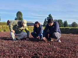 Cran Chile impulsa el crecimiento de sus proveedores potenciando la competitividad de las pymes en Los Ríos