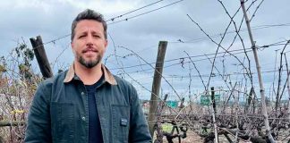 Columna de opinión | Plantas solares sobre suelos agrícolas: un desafío para la Región de Valparaíso Cristian Fuentes Duque, Ingeniero Agrónomo