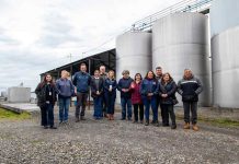 Reportaje | De descarte a recurso: ciencia e innovación del Valle del Itata transforman el orujo de uva en alimento sustentable para el ganado de Ñuble De descarte a recurso