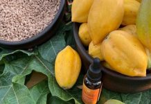 De residuo frutal a cosmético: Elquimia lanza sérum elaborado a partir del musílago de descarte de la papaya chilena De residuo frutal a cosmético: Elquimia lanza sérum elaborado a partir del musílago de descarte de la papaya chilena