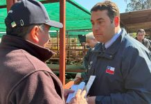 Delegación de Punilla lidera operativo preventivo contra el abigeato Delegación de Punilla lidera operativo preventivo contra el abigeato