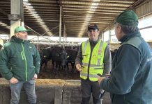Director Regional del SAG Biobío visita sistema productivo ganadero y destaca importancia de la trazabilidad animal Director Regional del SAG Biobío visita sistema productivo ganadero y destaca importancia de la trazabilidad animal