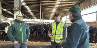 Noticia: Director Regional del SAG Biobío visita sistema productivo ganadero y destaca...