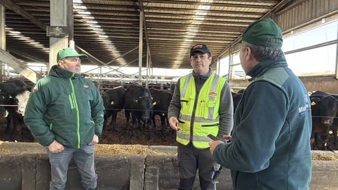 Director Regional del SAG Biobío visita sistema productivo ganadero y destaca importancia de la trazabilidad animal Director Regional del SAG Biobío visita sistema productivo ganadero y destaca importancia de la trazabilidad animal