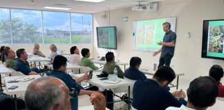 Proteger la fisiología de la planta: El cambio de paradigma que propone Carlos Meza frente a Thrips Parvispinus