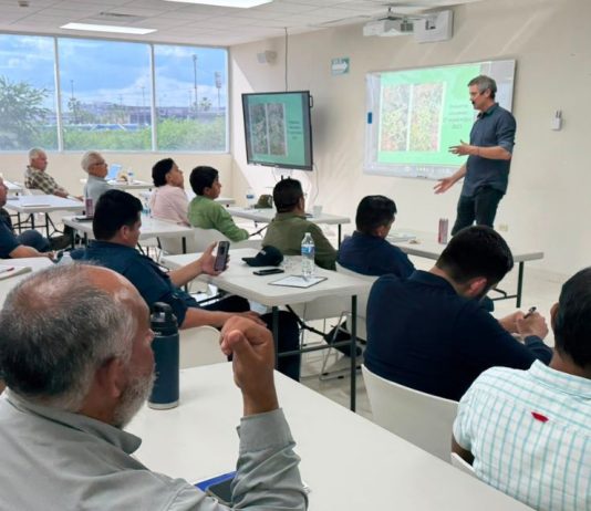 Proteger la fisiología de la planta: El cambio de paradigma que propone Carlos Meza frente a Thrips Parvispinus Proteger la fisiología de la planta: El cambio de paradigma que propone Carlos Meza frente a Thrips Parvispinus