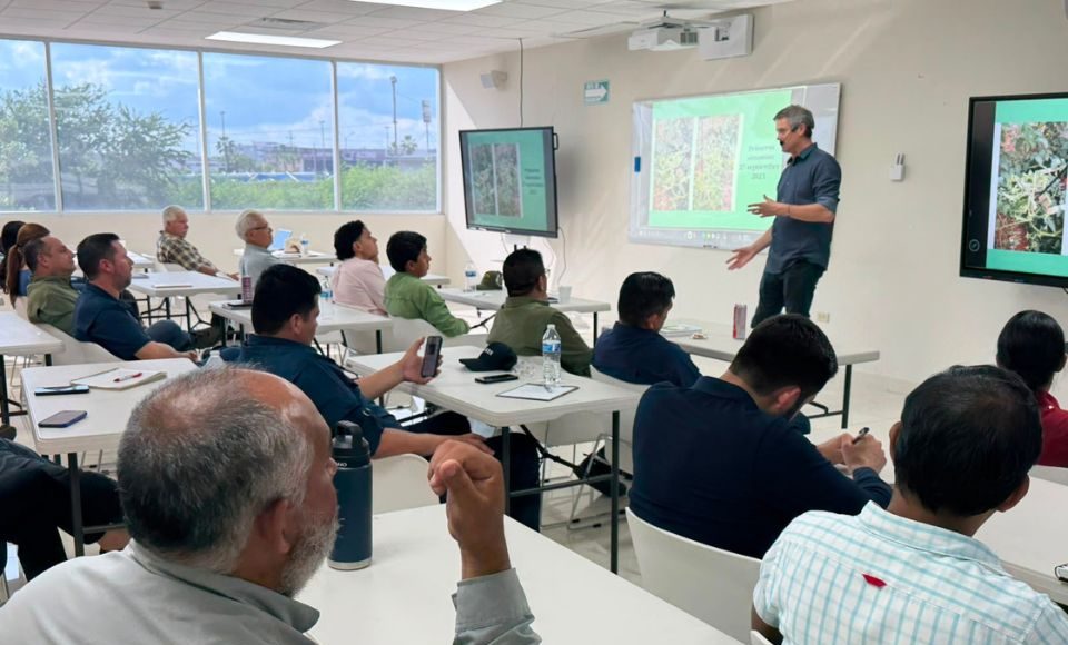 Proteger la fisiología de la planta: El cambio de paradigma que propone Carlos Meza frente a Thrips Parvispinus Proteger la fisiología de la planta: El cambio de paradigma que propone Carlos Meza frente a Thrips Parvispinus