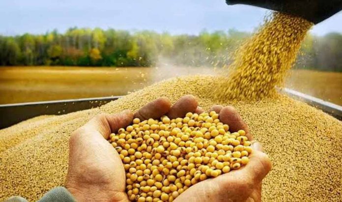El crecimiento mundial de los productos lácteos y la carne de vacuno abre nuevas oportunidades para la soja estadounidense.