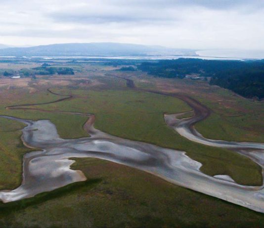 Reportaje | El exceso y la falta de agua: dos caras del mismo problema El exceso y la falta de agua