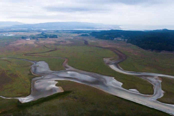El exceso y la falta de agua El exceso y la falta de agua
