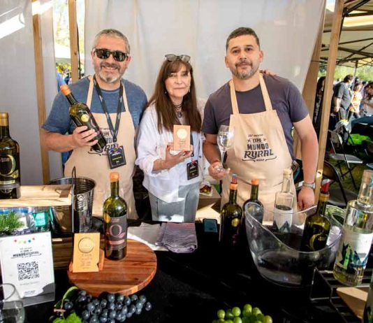 El nuevo impulso de las viñas campesinas con el apoyo de INDAP