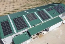 España El pistacho no es lo más interesante de esta planta: funciona aislada de la red con energía solar y baterías España El pistacho no es lo más interesante de esta planta: funciona aislada de la red con energía solar y baterías