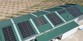 España El pistacho no es lo más interesante de esta planta: funciona aislada de la red con energía solar y baterías España El pistacho no es lo más interesante de esta planta: funciona aislada de la red con energía solar y baterías