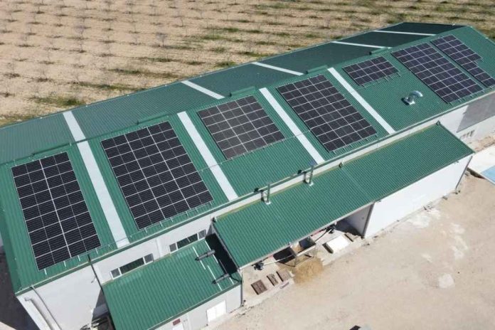 España El pistacho no es lo más interesante de esta planta funciona aislada de la red con energía solar y baterías España El pistacho no es lo más interesante de esta planta: funciona aislada de la red con energía solar y baterías