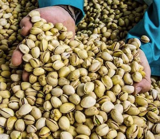 España se suma a la fiebre por el pistacho: líder en Europa, quinto a nivel mundial España se suma a la fiebre por el pistacho: líder en Europa, quinto a nivel mundial