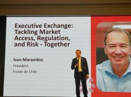 En Executive Leadership Summit Asia: Frutas de Chile llama a construir una alianza global para proteger la reputación y el acceso a los mercados de los productos frescos En Executive Leadership Summit Asia: Frutas de Chile llama a construir una alianza global para proteger la reputación y el acceso a los mercados de los productos frescos