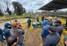 Exitosas jornadas técnicas de manejo de purines de lechería realizó Best-fed con apoyo de INIA Exitosas jornadas técnicas de manejo de purines de lechería realizó Best-fed con apoyo de INIA