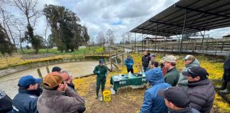 Exitosas jornadas técnicas de manejo de purines de lechería realizó Best-fed con apoyo de INIA