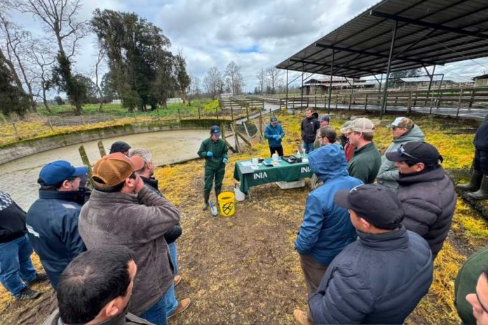 Exitosas jornadas técnicas de manejo de purines de lechería realizó Best-fed con apoyo de INIA Exitosas jornadas técnicas de manejo de purines de lechería realizó Best-fed con apoyo de INIA