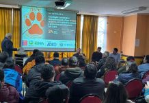 Expertos analizaron tecnologías y estrategias para enfrentar el impacto de perros en sistemas productivos y naturales de Los Lagos Expertos analizaron tecnologías y estrategias para enfrentar el impacto de perros en sistemas productivos y naturales de Los Lagos