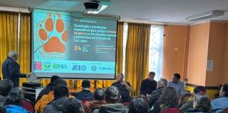 Expertos analizaron tecnologías y estrategias para enfrentar el impacto de perros en sistemas productivos y naturales de Los Lagos Expertos analizaron tecnologías y estrategias para enfrentar el impacto de perros en sistemas productivos y naturales de Los Lagos