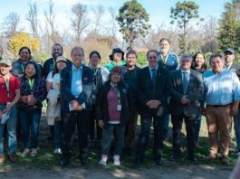 FIA abre convocatoria nacional de Proyectos de Innovación de Bienes Públicos 2026 para impulsar soluciones de innovación disponibles para el sector agrícola FIA abre convocatoria nacional de Proyectos de Innovación de Bienes Públicos 2026 para impulsar soluciones de innovación disponibles para el sector agrícola