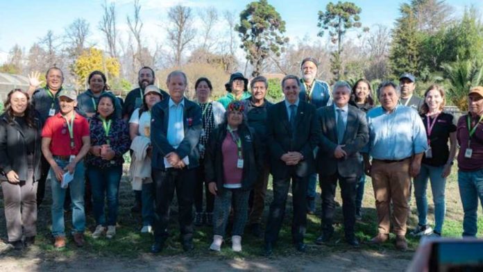 FIA abre convocatoria nacional de Proyectos de Innovación de Bienes Públicos 2026 para impulsar soluciones de innovación disponibles para el sector agrícola FIA abre convocatoria nacional de Proyectos de Innovación de Bienes Públicos 2026 para impulsar soluciones de innovación disponibles para el sector agrícola