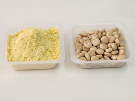 Fiestas Patrias: INIA entrega alternativas a la harina de trigo para cocinar recetas tradicionales Fiestas Patrias: INIA entrega alternativas a la harina de trigo para cocinar recetas tradicionales