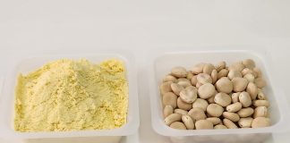 Fiestas Patrias: INIA entrega alternativas a la harina de trigo para cocinar recetas tradicionales Fiestas Patrias: INIA entrega alternativas a la harina de trigo para cocinar recetas tradicionales
