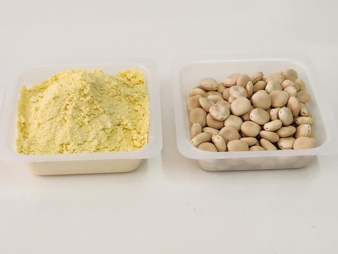 Fiestas Patrias: INIA entrega alternativas a la harina de trigo para cocinar recetas tradicionales Fiestas Patrias: INIA entrega alternativas a la harina de trigo para cocinar recetas tradicionales