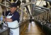 Flexibilidad laboral: una necesidad impostergable para la agricultura y la lechería Flexibilidad laboral: una necesidad impostergable para la agricultura y la lechería