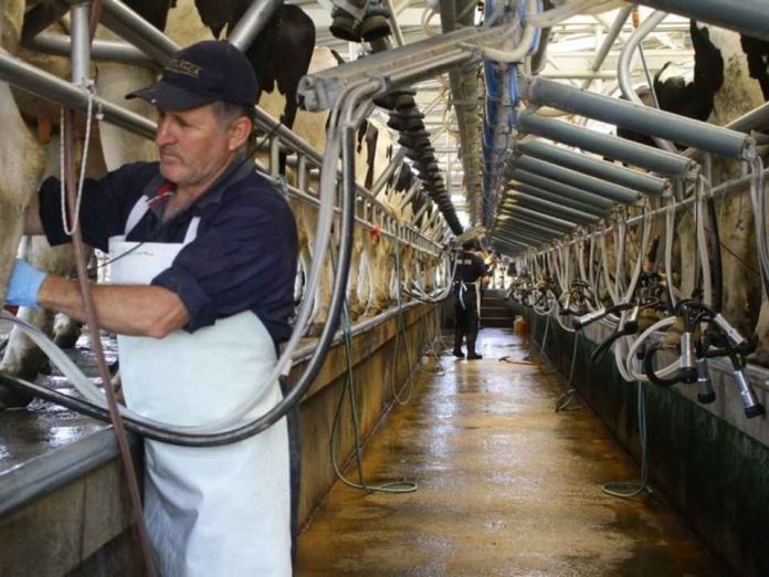 Flexibilidad laboral una necesidad impostergable para la agricultura y la lechería Flexibilidad laboral: una necesidad impostergable para la agricultura y la lechería