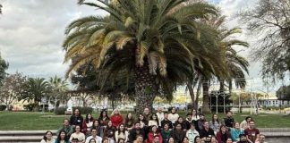 Fragmentación de bosques y cambio climático: las amenazas que enfrenta la güiña en Chile