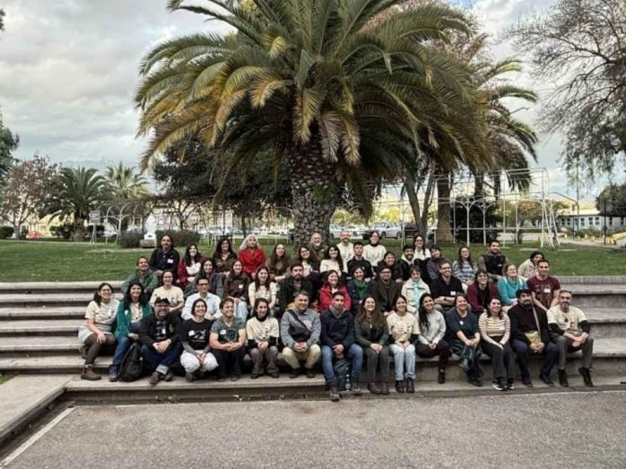 Fragmentación de bosques y cambio climático: las amenazas que enfrenta la güiña en Chile