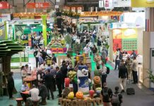 Fruit Attraction 2026 | Feria Internacional del sector hortofrutícola Fruit Attraction 2026 | Feria Internacional del sector hortofrutícola