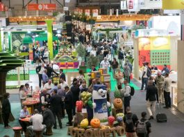 Fruit Attraction 2026 | Feria Internacional del sector hortofrutícola Fruit Attraction 2026 | Feria Internacional del sector hortofrutícola