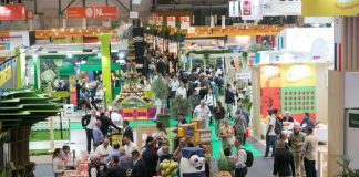 Fruit Attraction 2026 | Feria Internacional del sector hortofrutícola